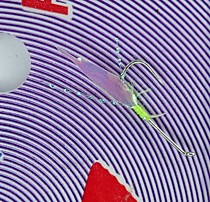 Самосвал на корюшку терминатор № 4 мм с крылом рыбья кожа Моринген розовый фосфор с люрексом фиолет кристалл Тохо И лимон точка атаки( долгое и яркое свечение крыла )