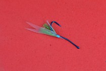 мормышки светлячки на корюха зубаря на голубом угорь № 6 мм ( крючки маруто № 11 по Японской шкале крючков)
