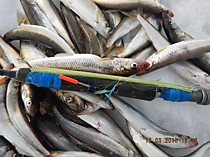 Рыбалка на сахалине, самодуры, гирлянды. блесна для зимней рыбалки на корюшку.