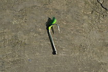 крючок снег№6.5 Маруто-10 шт с мухой из вата Флюорисцент насышенная зеленая и шелком флю лимон