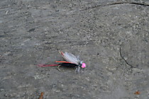 UV муха Премиум №10 черное тело, головка флю розовая, красные цетинки, жабо из серого петуха, крыло- белая шерсть УФ с микролюрексом Италия