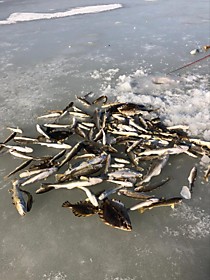 Зимняя рыбалка Владивосток. блесна на навагу во Владивостоке